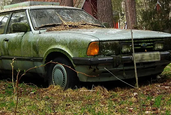 Abandoned green car overgrown with plants awaiting professional junk car buying in Carleton, TX